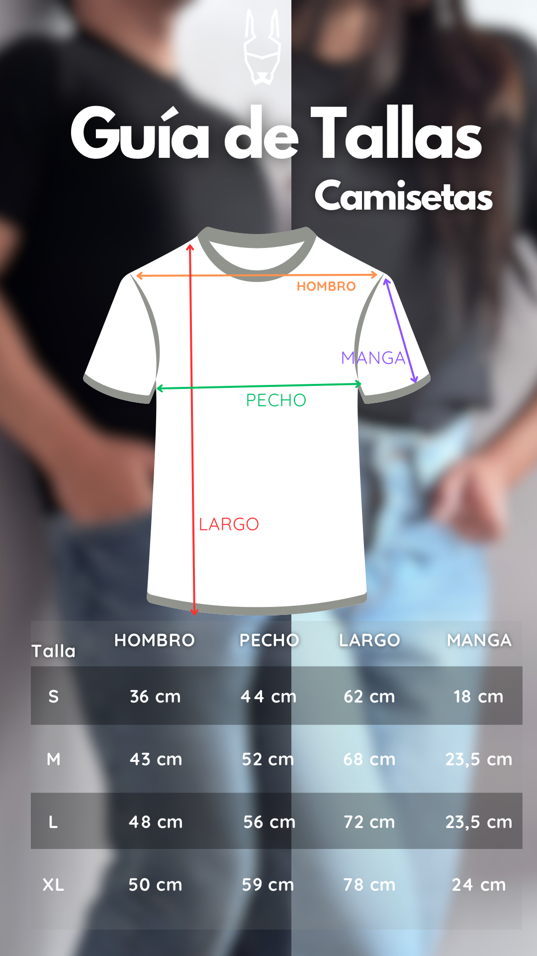 Pack Buzo Chocolate + 2 Camisetas